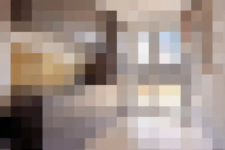 Gouvernante 27 Wijchen thumbnail 9