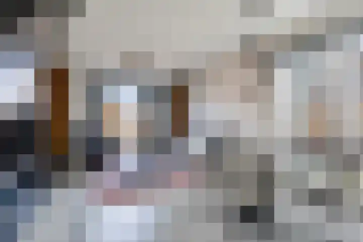Gouvernante 59 Wijchen thumbnail 8