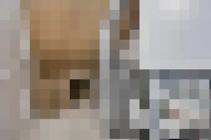 Gouvernante 61 Wijchen thumbnail 21