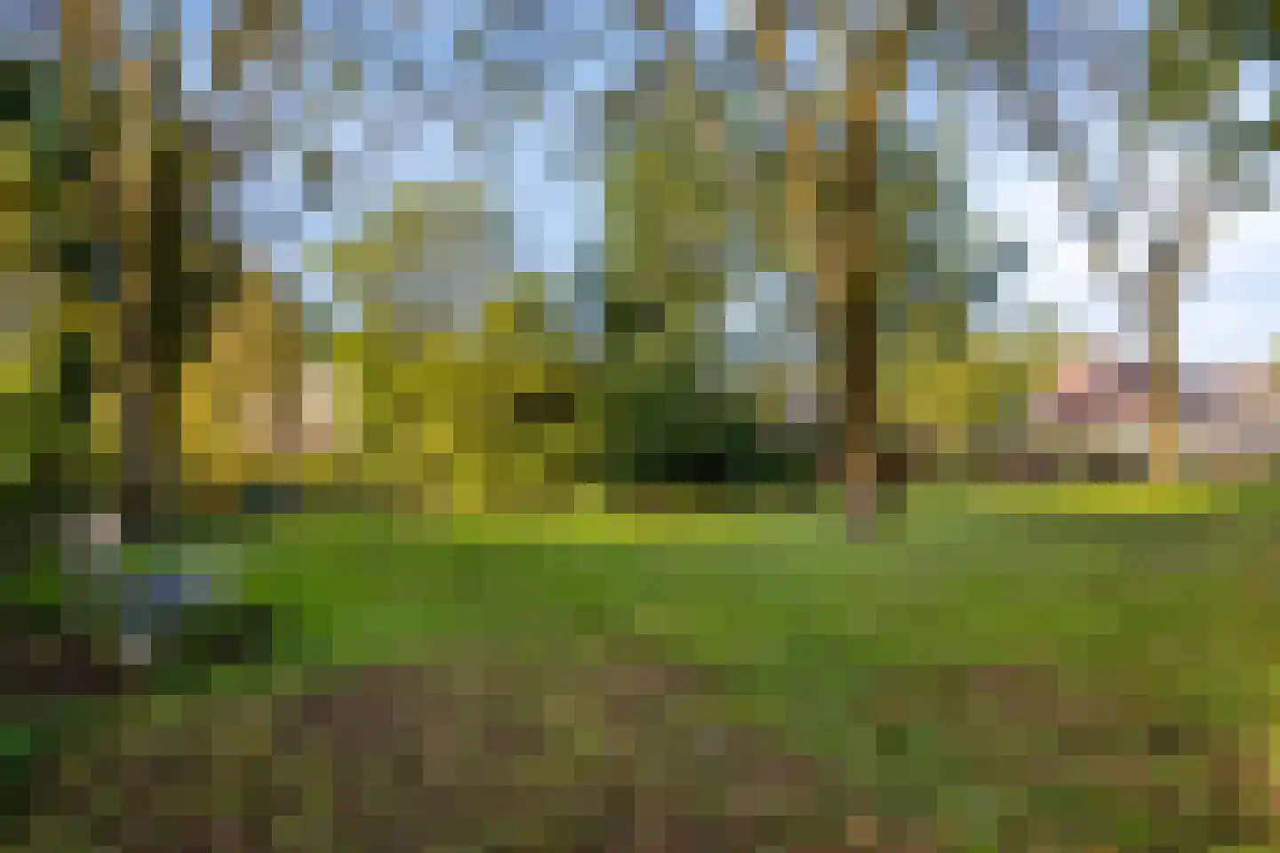 Gouvernantelaan 22 De Meern thumbnail 35