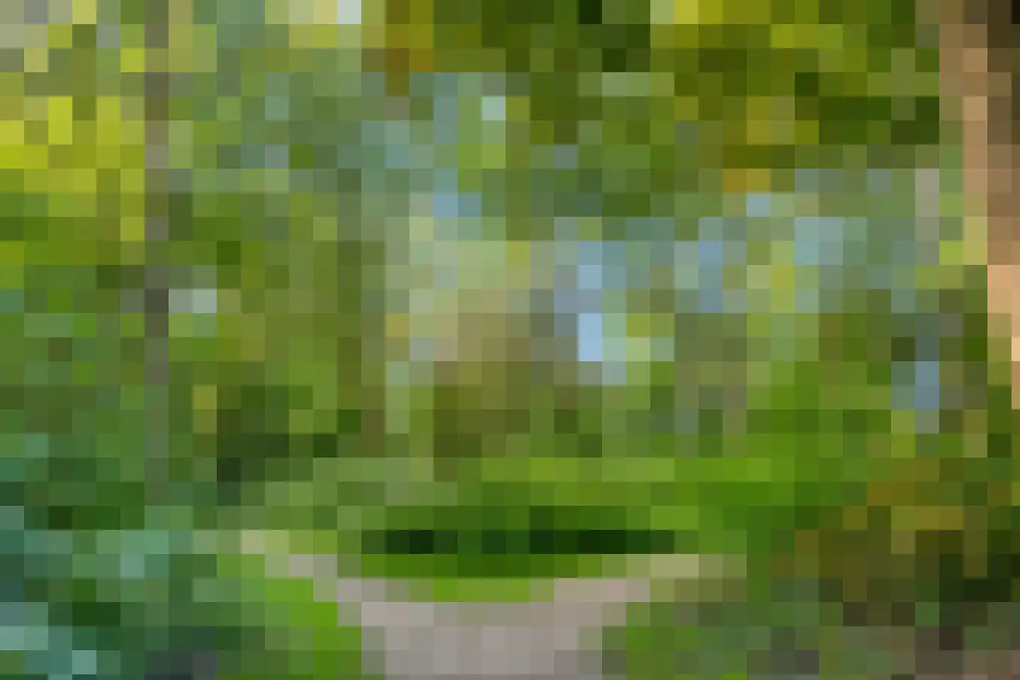 Gouvernantelaan 22 De Meern thumbnail 37
