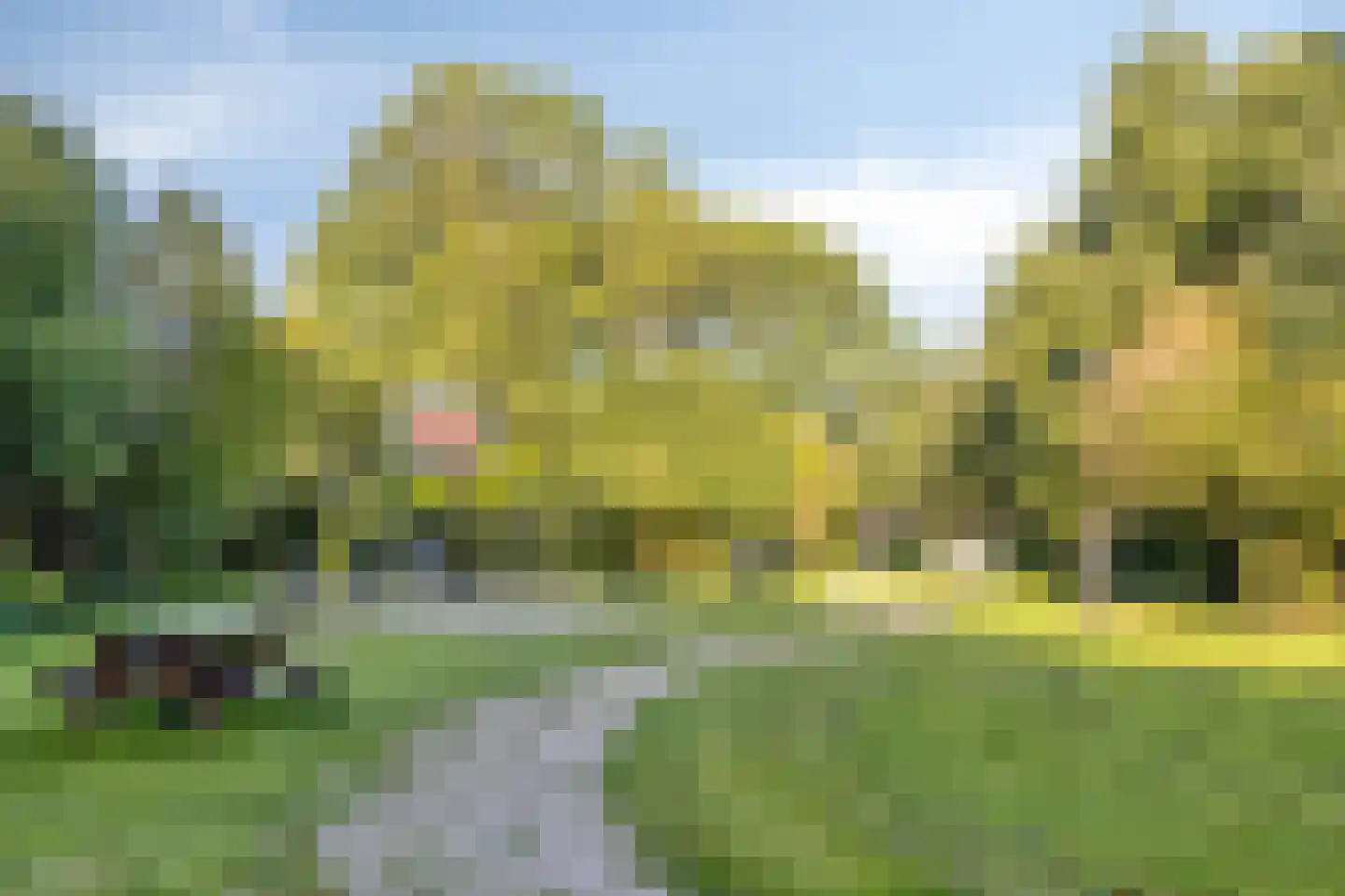 Gouvernantelaan 22 De Meern thumbnail 38