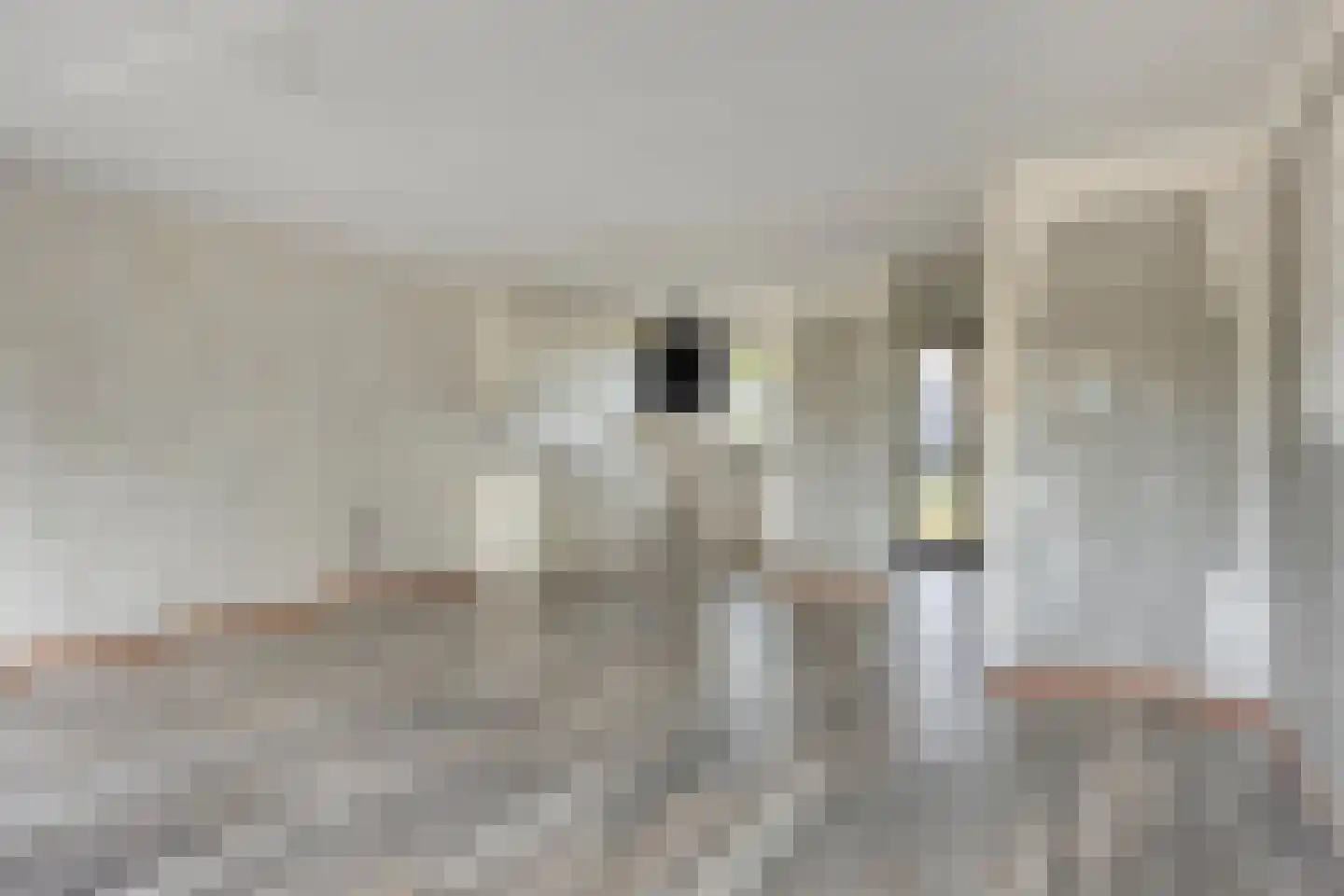 Gouvernantelaan 22 De Meern thumbnail 8