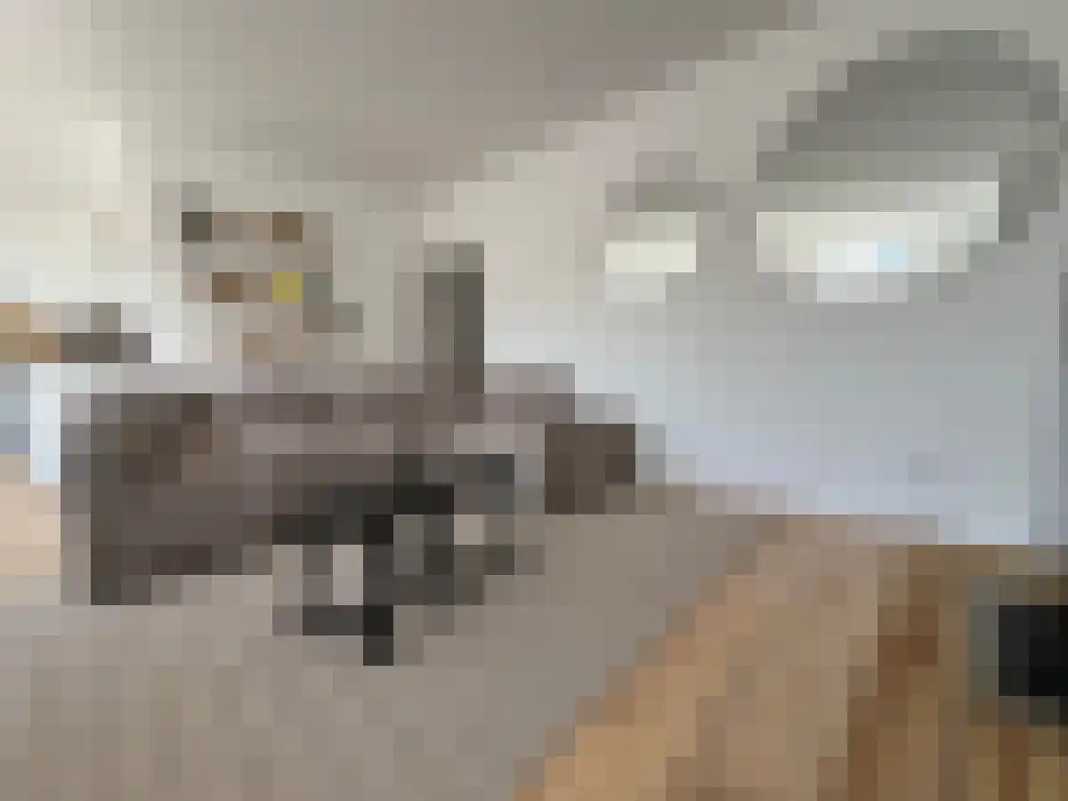 Gouvernestraat 4 Rotterdam thumbnail 4