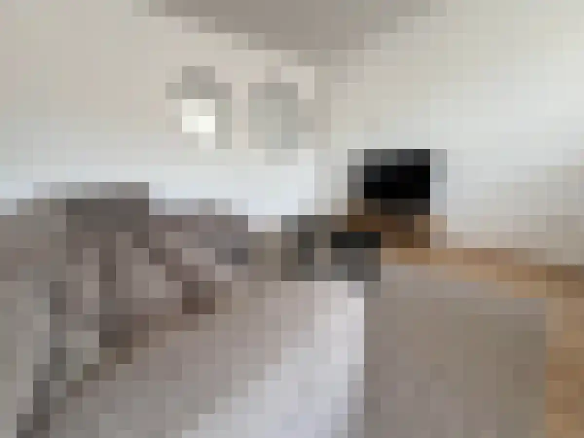 Gouvernestraat 4 Rotterdam thumbnail 5