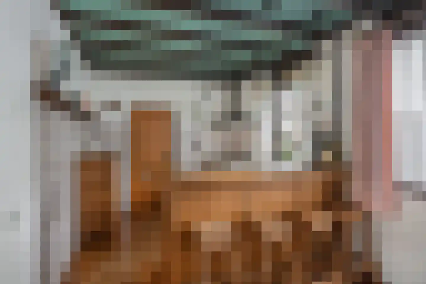 Gouverneur Borretstraat 4 's-Hertogenbosch thumbnail 17