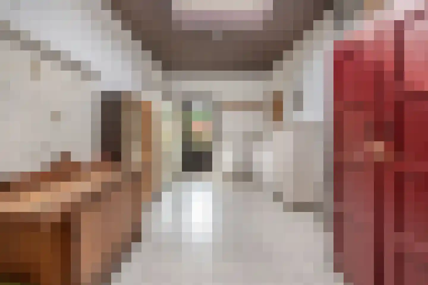 Gouverneur Borretstraat 4 's-Hertogenbosch thumbnail 22