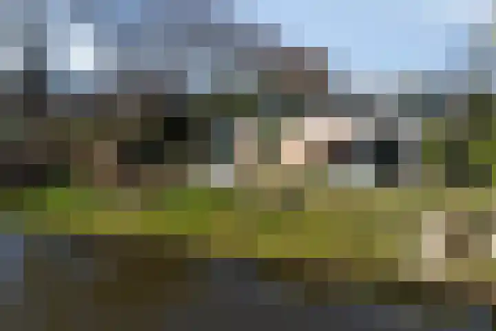 Gouverneur Holvoetstraat 24 's-Hertogenbosch thumbnail 69