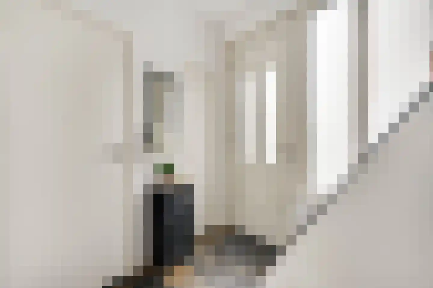 Gouverneur Houbenlaan 17 Stramproy thumbnail 5