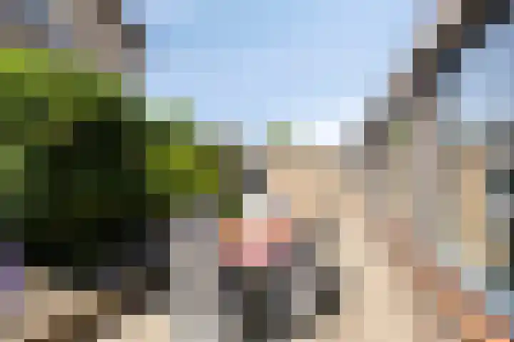 Gouverneur Houbenstraat 11 Hulsberg thumbnail 26