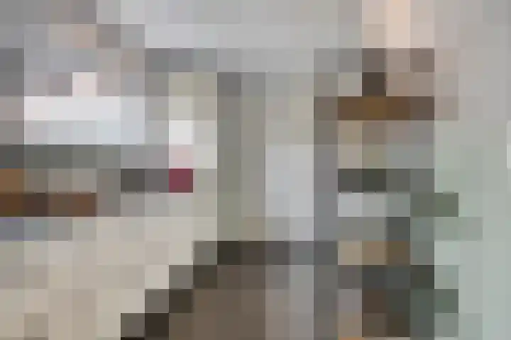 Gouverneur Houbenstraat 26 Heel thumbnail 13