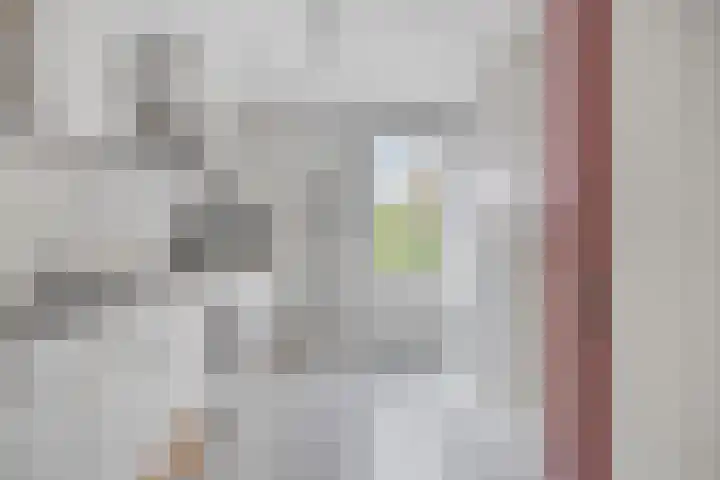 Gouverneur Houbenstraat 26 Heel thumbnail 15