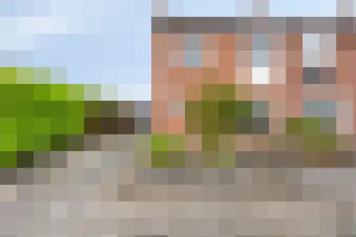 Gouverneur Houbenstraat 26 Heel thumbnail 26