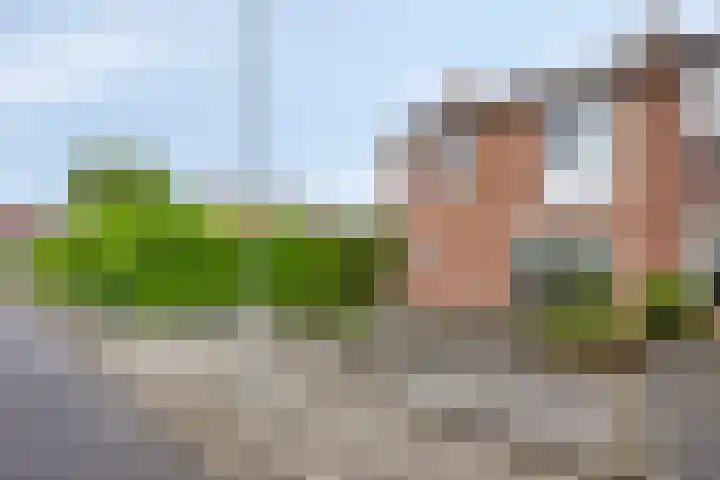 Gouverneur Houbenstraat 26 Heel thumbnail 27