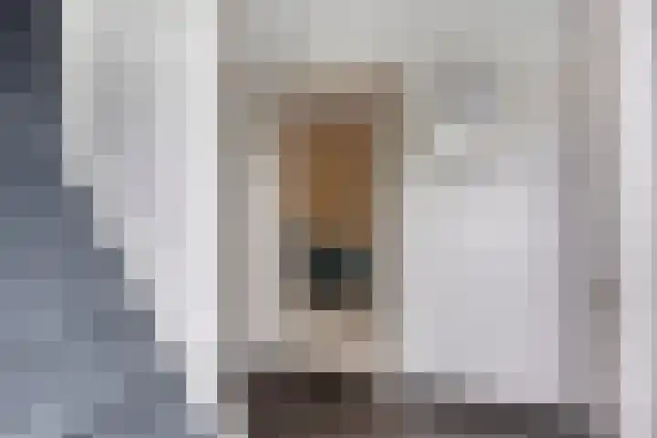 Gouverneur Houbenstraat 26 Heel thumbnail 5