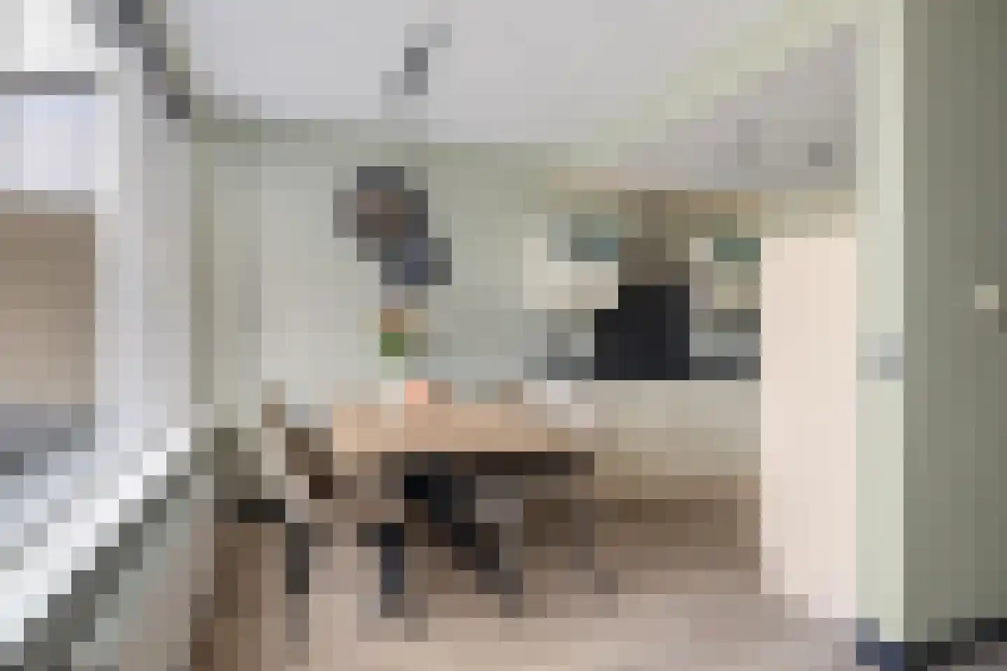 Gouverneur Houbenstraat 46 Panningen thumbnail 11