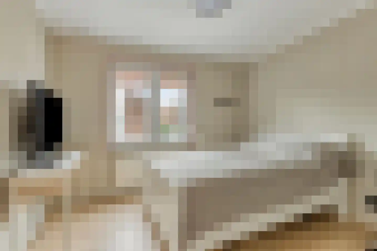 Gouverneur Houbenstraat 46 Wanssum thumbnail 24