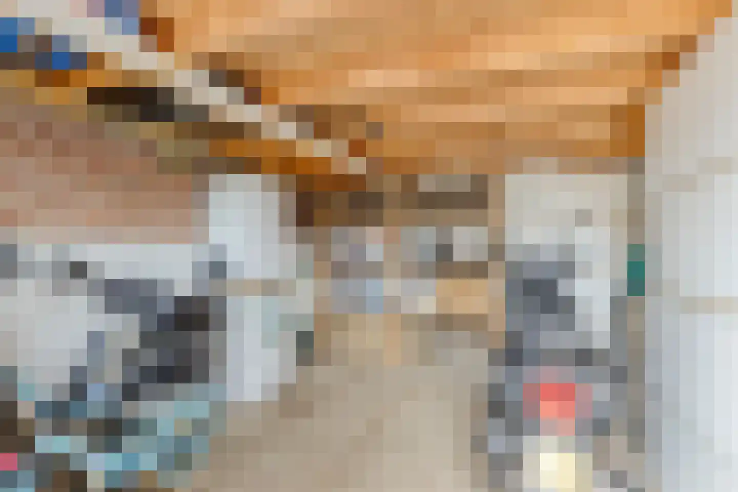 Gouverneur Houbenstraat 46 Wanssum thumbnail 33