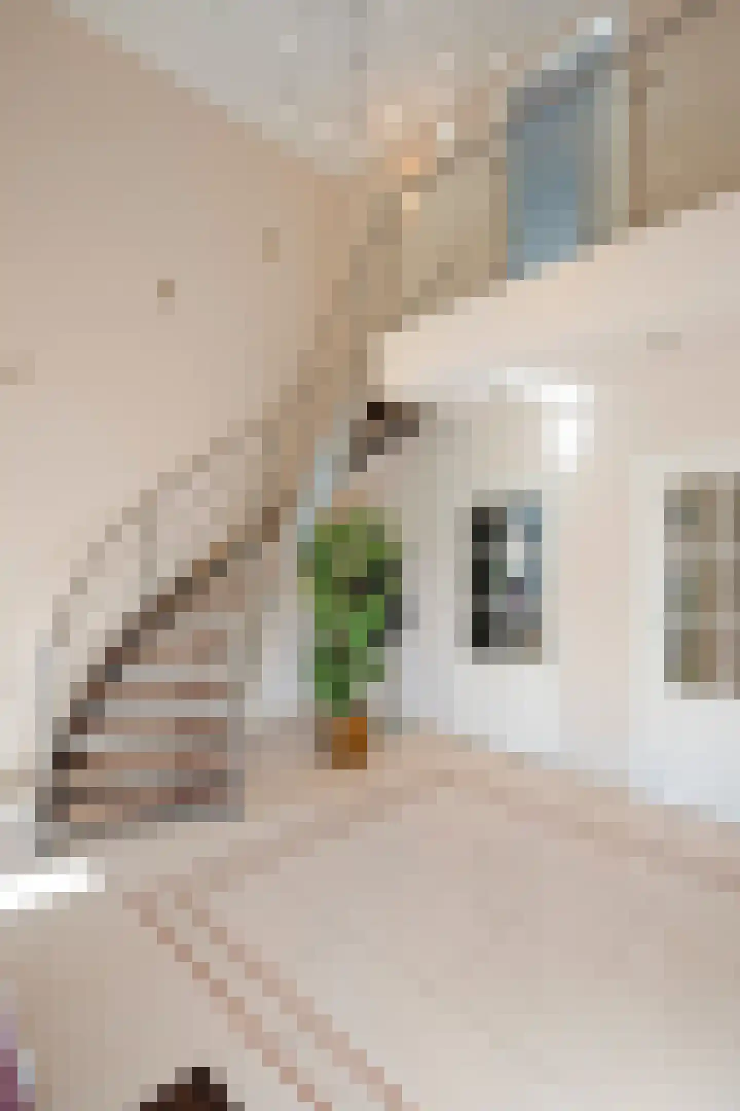 Gouverneur Houbenstraat 51 Nieuwstadt thumbnail 10