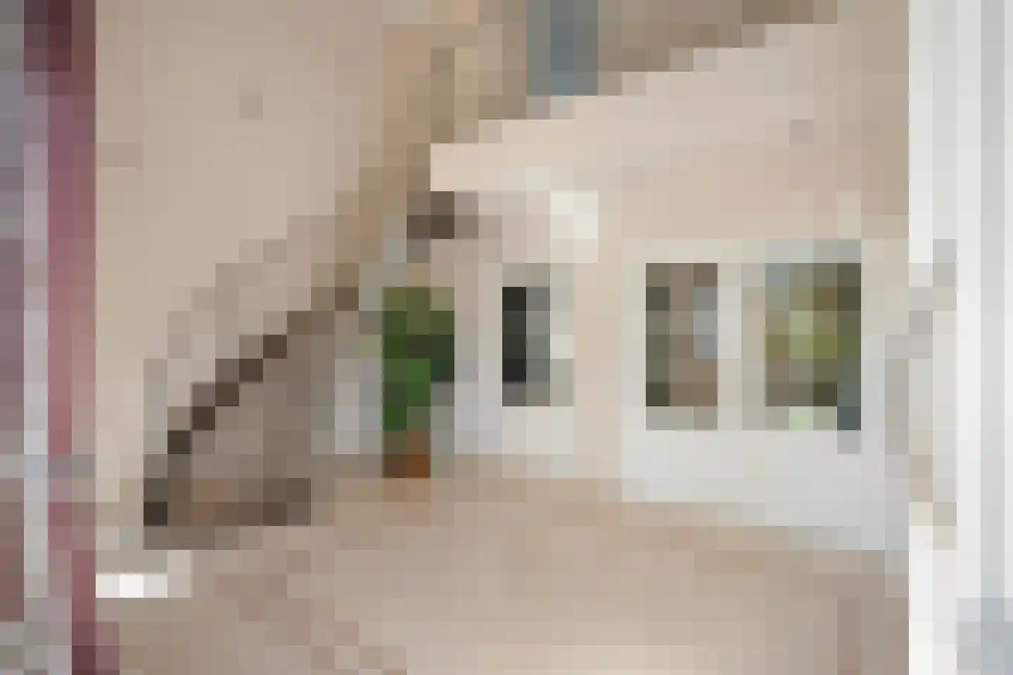 Gouverneur Houbenstraat 51 Nieuwstadt thumbnail 11