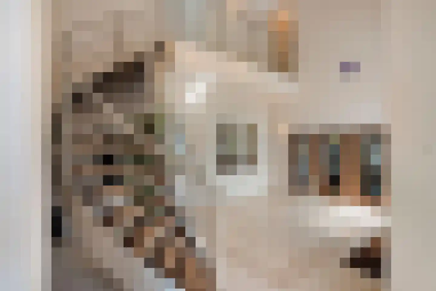 Gouverneur Houbenstraat 51 Nieuwstadt thumbnail 12