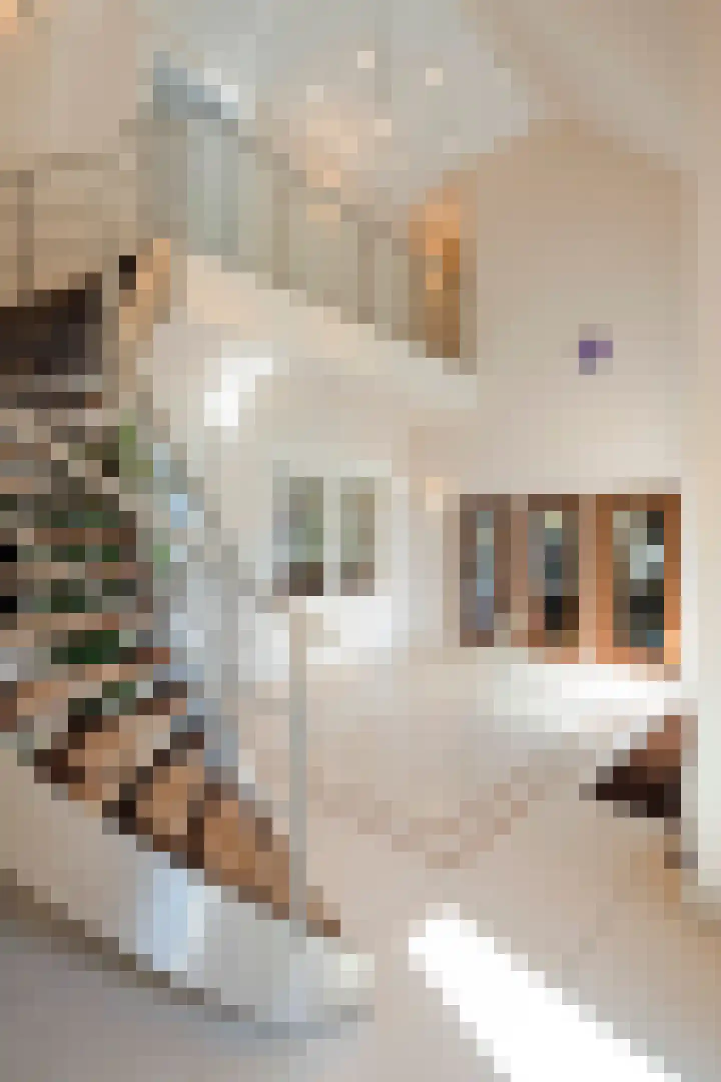 Gouverneur Houbenstraat 51 Nieuwstadt thumbnail 13