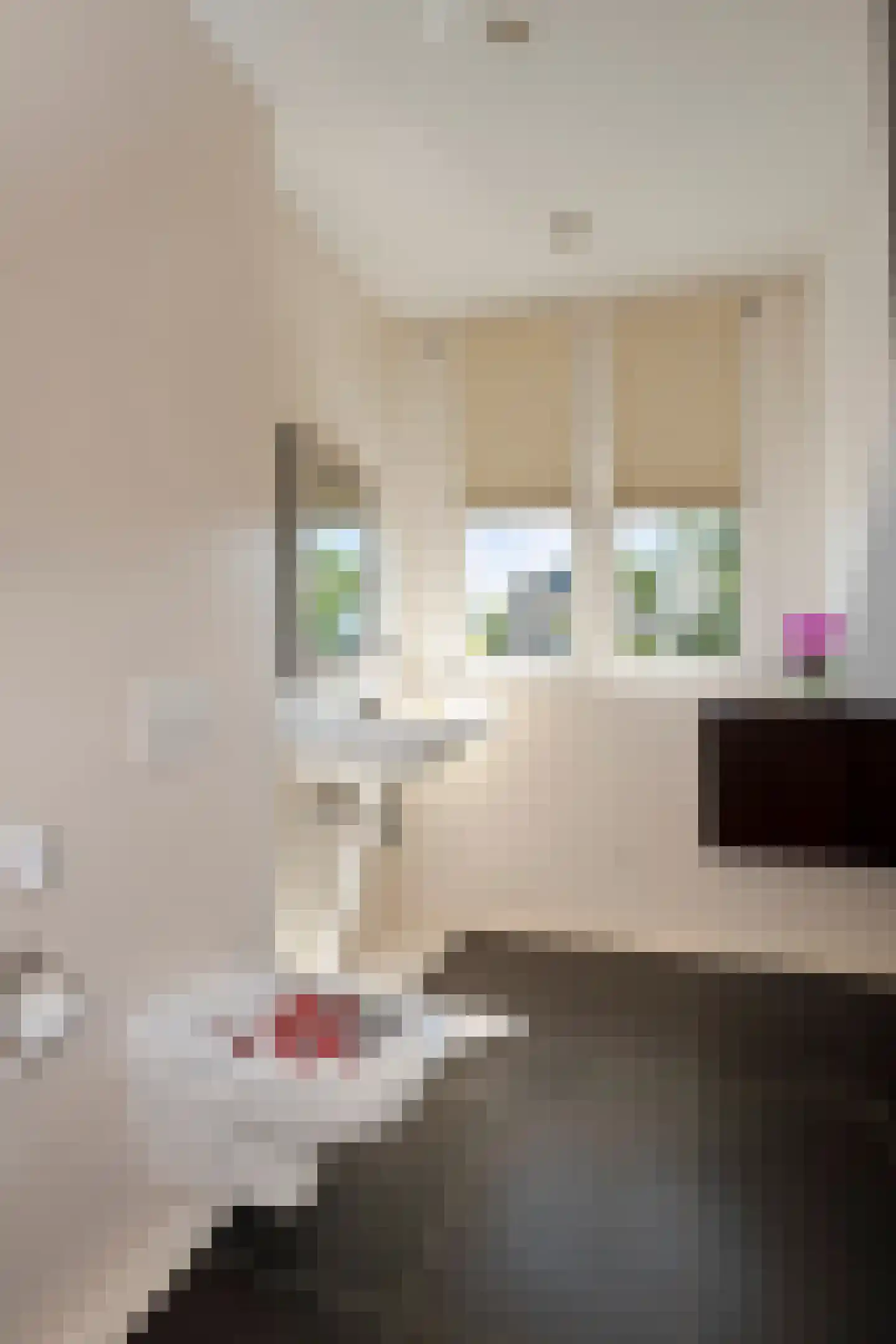 Gouverneur Houbenstraat 51 Nieuwstadt thumbnail 55