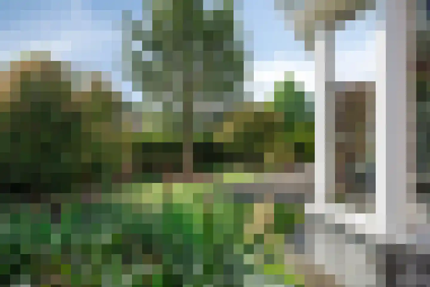 Gouverneur Houbenstraat 51 Nieuwstadt thumbnail 9