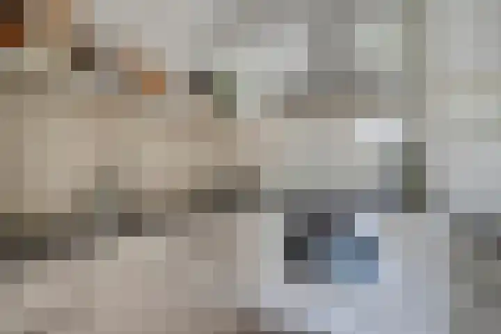 Gouverneur Houbenstraat 6 Panningen thumbnail 11