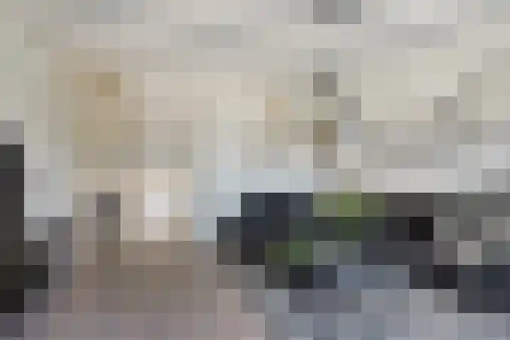 Gouverneur Houbenstraat 6 Panningen thumbnail 21
