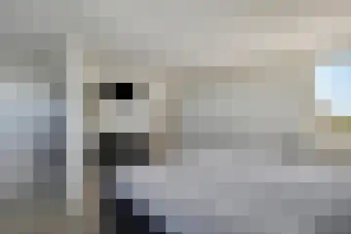 Gouverneur Houbenstraat 6 Panningen thumbnail 39