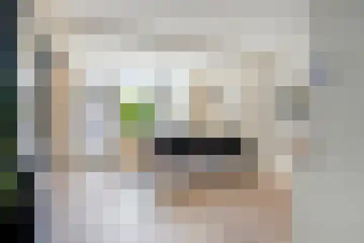 Gouverneur Houbenstraat 6 Panningen thumbnail 7