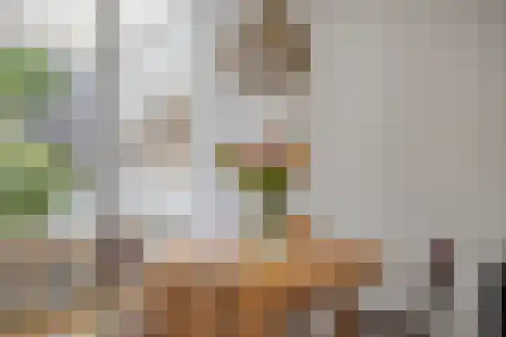 Gouverneur Houbenstraat 74 Panningen thumbnail 10