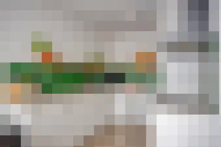 Gouverneur Houbenstraat 74 Panningen thumbnail 11