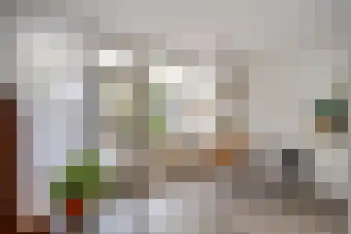 Gouverneur Houbenstraat 74 Panningen thumbnail 8