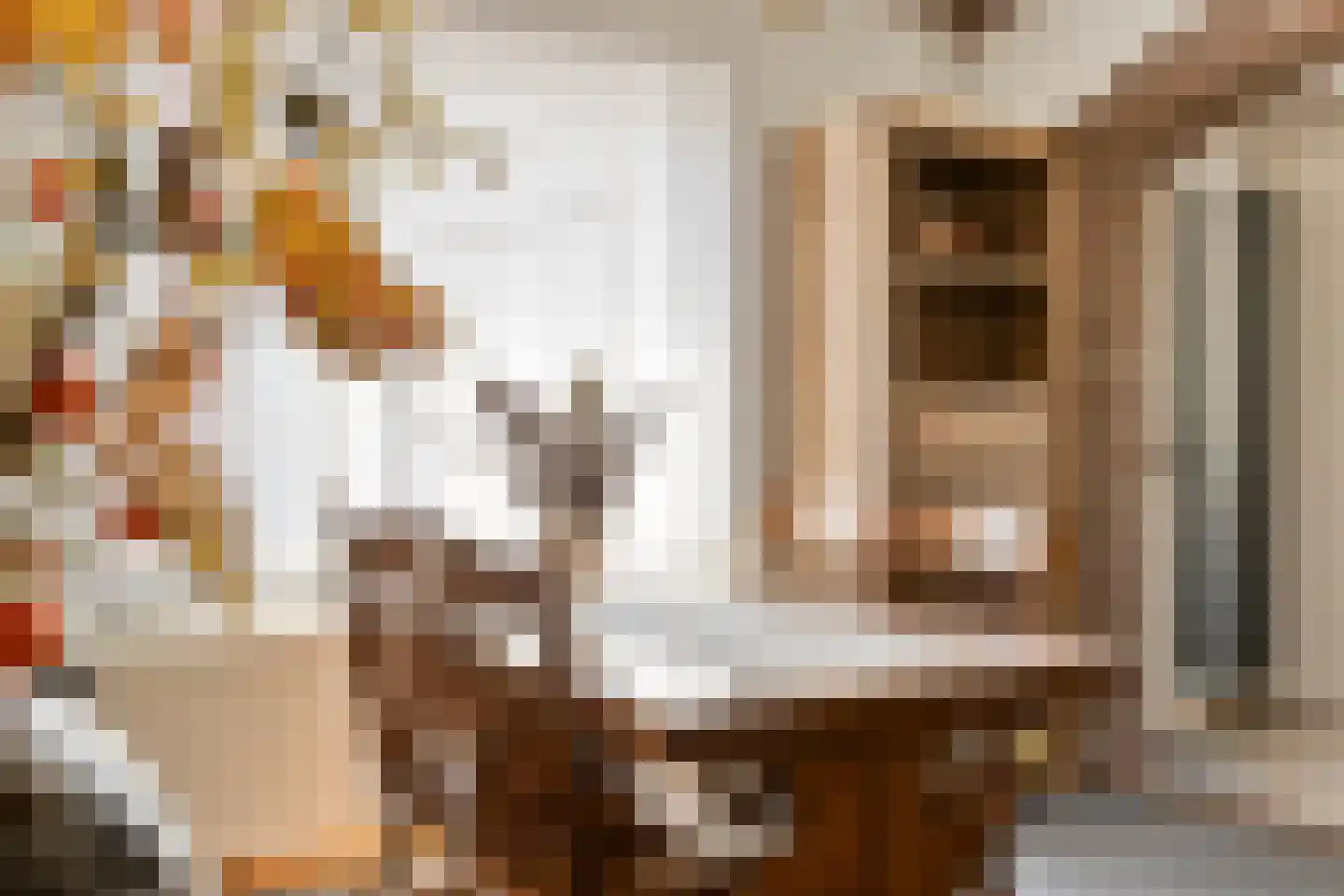 Gouverneur Houbenstraat 8 Stevensweert thumbnail 8