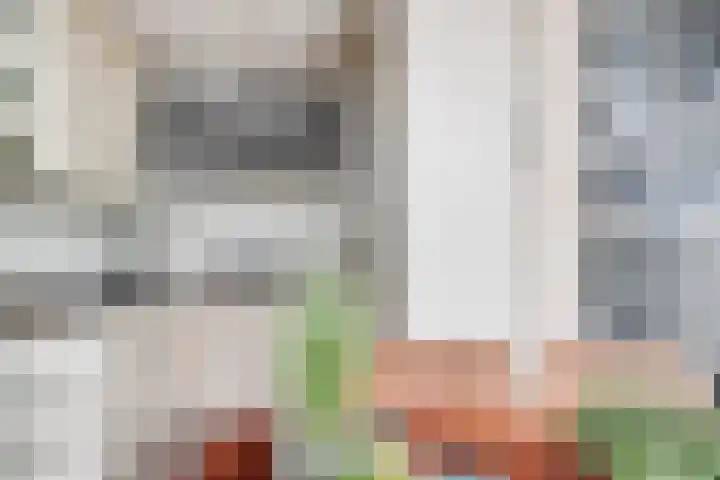 Gouverneur Houbenstraat 82 Panningen thumbnail 11