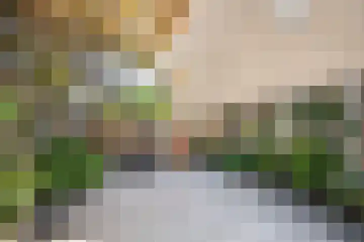 Gouverneur Houbenstraat 82 Panningen thumbnail 15