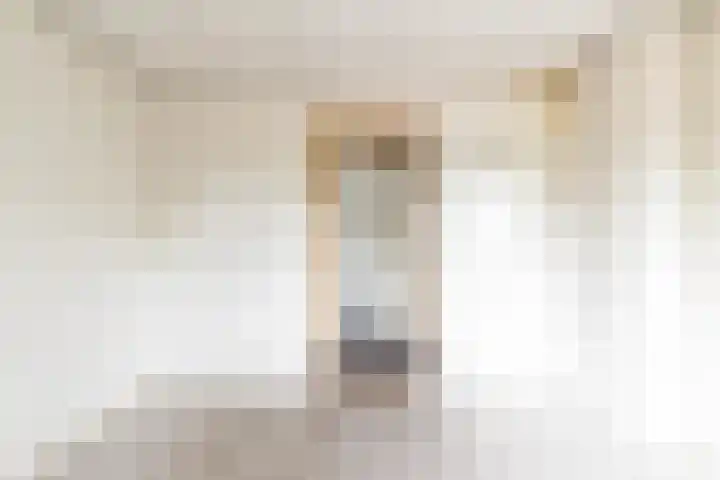 Gouverneur van Sonsbeecklaan 21 Reuver thumbnail 11