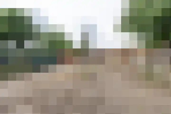 Gouverneur van Sonsbeecklaan 21 Reuver thumbnail 19