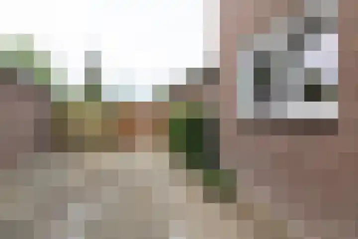 Gouverneur van Sonsbeecklaan 21 Reuver thumbnail 23