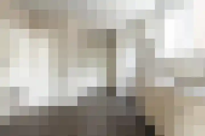 Gouverneur van Sonsbeecklaan 21 Reuver thumbnail 7