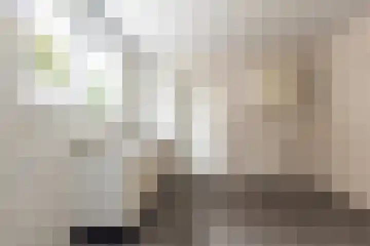 Gouverneur van Sonsbeecklaan 21 Reuver thumbnail 8
