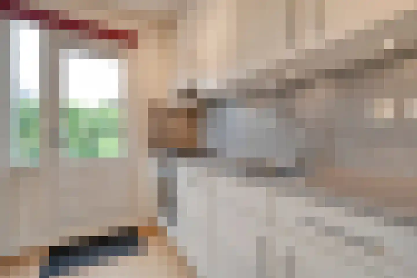 Gouverneurlaan 12 Zwolle thumbnail 17