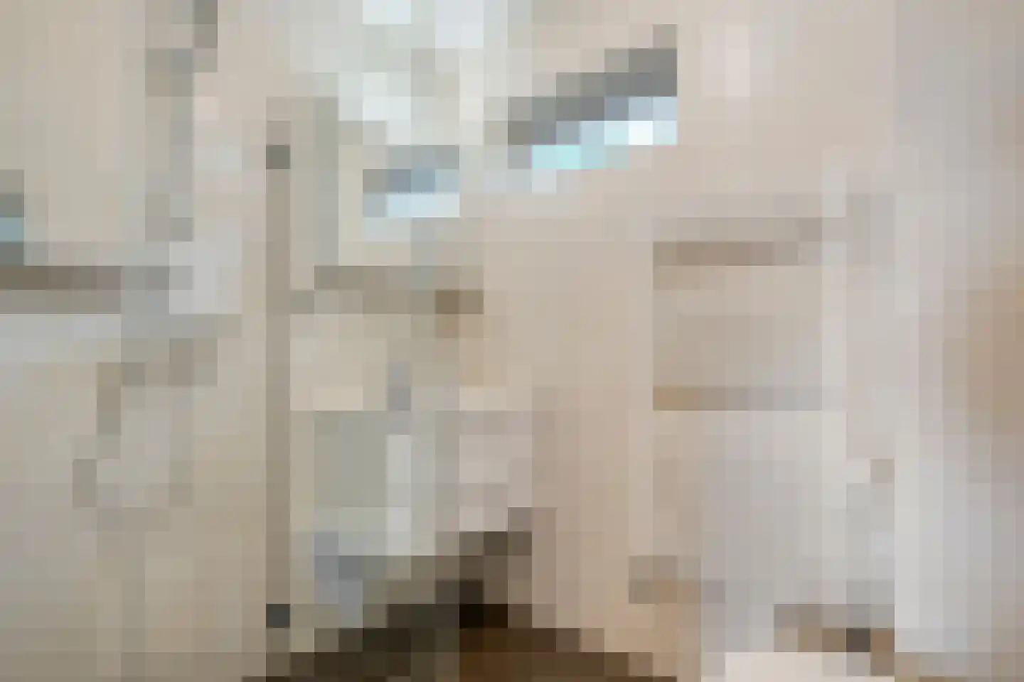 Gouverneurlaan 12 Zwolle thumbnail 23