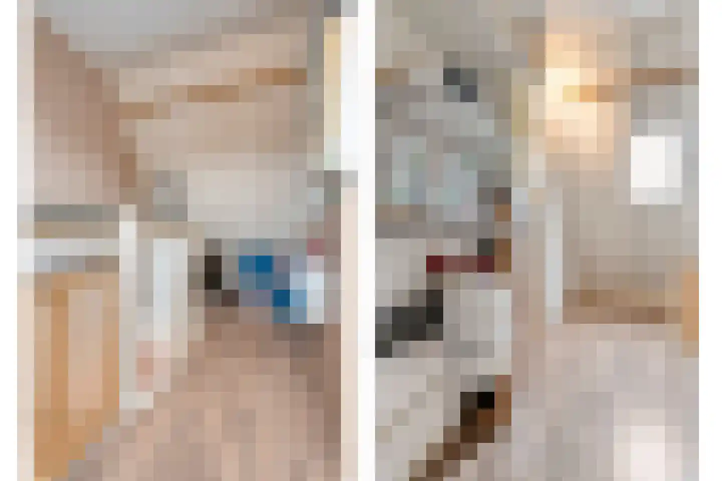 Gouverneurlaan 12 Zwolle thumbnail 25