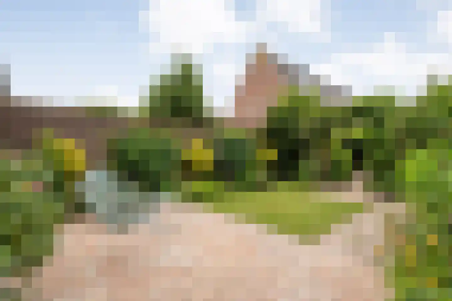 Gouverneurlaan 12 Zwolle thumbnail 28