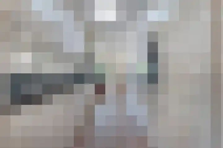 Gouverneurlaan 39 Zwolle thumbnail 12