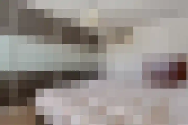 Gouverneurlaan 39 Zwolle thumbnail 17