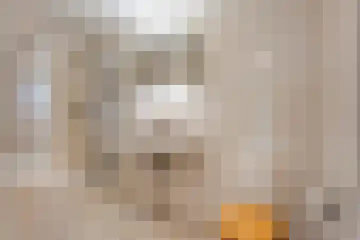 Gouverneurlaan 39 Zwolle thumbnail 19
